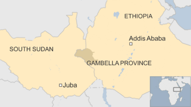 Ethiopia: Armed men `kill 140` near South Sudan border